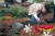 지난 4월 3일 북촌리 너븐숭이 애기무덤을 찾은 폭낭의 아이들 출연 김상우군. 사진 폭낭의 아이들 제작팀