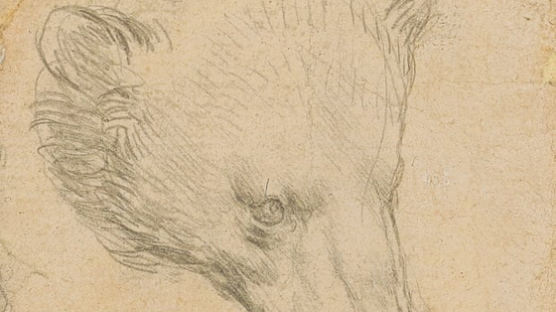 메모지만한 '곰 머리' 그림이 187억···경매에 풀린 다빈치作 