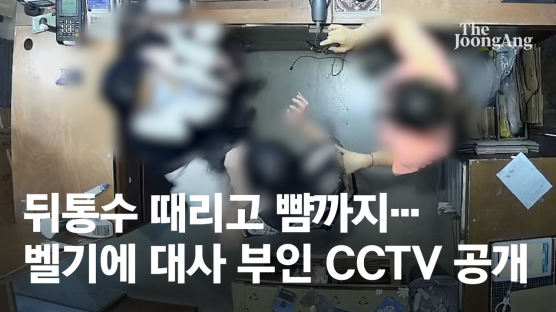 경찰, '옷가게 직원 폭행' 벨기에 대사 부인 면책특권 확인 중 