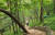 남파랑길 부산 2코스는 영도의 명소를 들르거나 근처를 통과한다. 봉래산 숲길. 숲이 의외로 깊다.