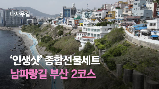 [영상] 인증샷 종합선물세트, 부산 영도 남파랑길 2코스