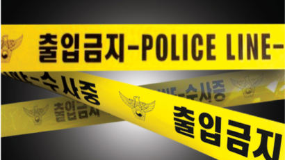 "진검승부" 장검·식칼 든 40대들···CCTV 찍힌 강남 나체 난동