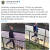 케임브리지 경찰은 트위터를 통해 강아지 도난 사건 용의자를 공개 수배했다. [트위터 캡처]