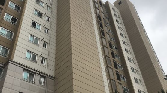중국인 떠난 후 침체 겪던 제주 부동산…아파트값·땅값 다 올랐다
