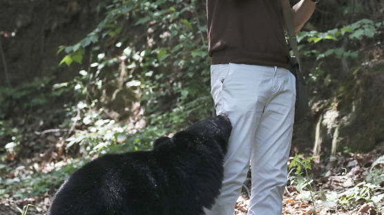 울산 농가에 나타난 반달가슴곰···카메라 보자 한 행동