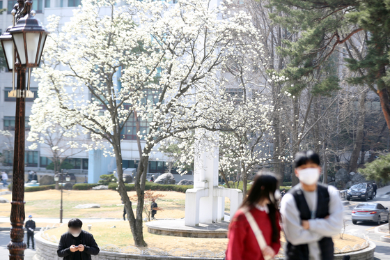 지난 3월 23일 오후 서울의 한 대학 캠퍼스에서 학생들이 발걸음을 옮기고 있다. 뉴스1