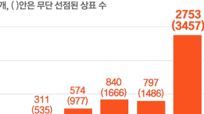 대놓고 베끼곤 "웃돈 달라"…中 짝퉁K 뒤엔 '악명의 김광춘' [뉴스원샷]