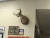 학교 내 사슴 박제를 삐딱하게 기울여 놓은 모습. [트위터 캡처]