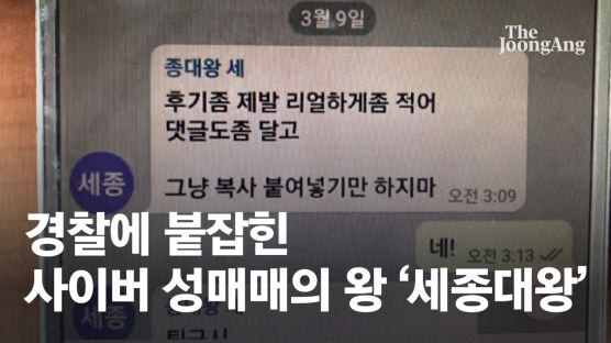 "후기 리얼하게"…텔레그램 '세종대왕'은 사이버 성매매 보스