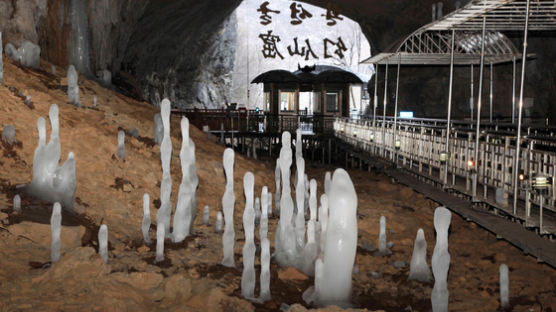 5억년전 생긴 '지하 궁전'…세계서 주목한 韓의 이 동굴 