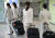 지난 2월 18일 서울 강서구 제주항공 서울지사에서 승무원들이 이동하고 있다. 연합뉴스