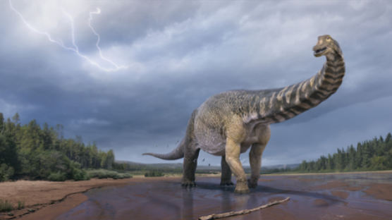 호주서 몸길이 30m·무게67t 초대형 공룡 화석 발견
