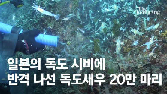 일본의 독도 시비에 ‘독도새우’ 20만 마리 방류로 반격한 경북