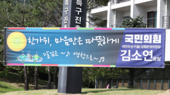'달님 영창' 현수막 건 김소연에 "미친X"…경찰 "모욕죄 아냐"