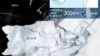 ‘남극의 댐’ 빙붕 붕괴, 서울 절반면적 빙하가 사라졌다