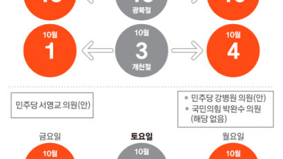 광복절부터 대체공휴일, 올해 빨간날 4일 더 늘어