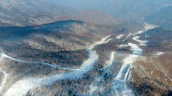 평창 올림픽때 뒤집은 가리왕산…"복원엔 10년, 복구비 수백억"