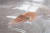 미국항공우주국(NASA)이 6월 11일 연구를 위해 아기 오징어들을 우주로 보냈다. AP=연합뉴스