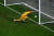 안돼! 핀란드 골키퍼 루카스가 벨기에의 슛을 걷어내려고 하지만 공은 이미 라인을 넘었다. AFP=연합뉴스