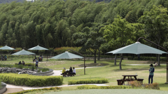 코로나19 2년째…‘산업수도’ 울산 공기가 맑아졌다