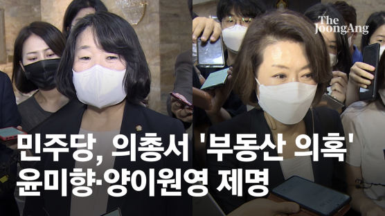 [속보] 민주당, 의총서 '부동산 의혹' 윤미향·양이원영 제명