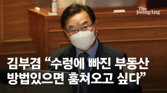 부동산 문제에 김부겸 "수렁에 빠졌다…방법 있으면 훔치고 싶다"