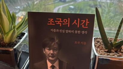 이승환 '조국의 시간' 인증샷···조국 "동갑내기 명가수" 댓글