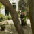 조 바이든 미국 대통령과 질 여사가 백악관 정원에서 보그 8월호 커버스토리를 위해 다정한 포즈를 취했다. 초록색 스웨터와 스커트는 마이클 코어스. [사진 인스타그램]
