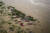 인도에서 한달 간 이어진 장마로 갠지스강의 수위가 높아지자 북부 알라하바드시 화장터 인근에 묻혀있던 시신들이 떠올랐다. [AFP=연합뉴스] 