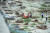 인도 북부 알라하바드시 공무원들이 갠지스 강을 타고 하류로 떠내려온 시신들을 건져내 화장하고 있다. [AFP=연합뉴스] 