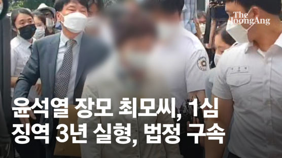 [속보] 징역3년 실형에 법정구속…尹 장모 "할 얘기 없다" 