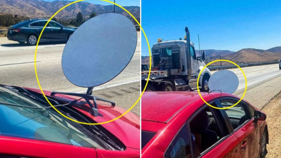 차에 '거대한 위성접시' 꽂고 달렸다...머스크 인터넷 뭐길래