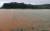 6일 오전 전남 보성군 벌교읍 장양리 일대 농경지가 빗물에 잠겨 있다. [뉴시스]