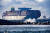 세계적인 해운사 MSC의 선박이 지난 4월 네덜란드 로테르담항에 정박하고 있다.[EPA=연합뉴스]