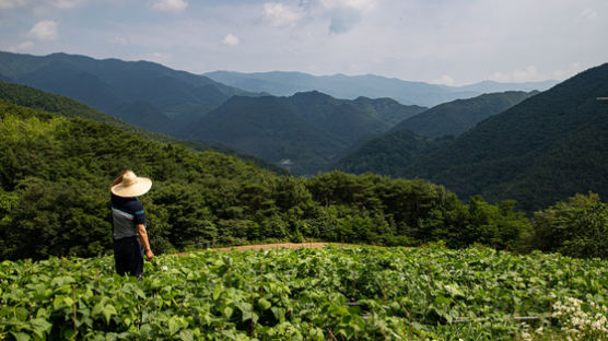 우체부가 제일 싫어하는 마을, 전쟁도 비껴간 첩첩산중 이곳