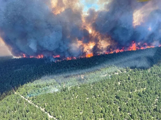 지난달 26일 캐나다 브리티시컬럼비아주의 스파크스 호수 인근에 발생한 산불. 이 지역에서는 낮 최고기온이 섭씨 49.6도까지 치솟는 열돔으로 인해 산불이 빈발했다. AFP=연합뉴스 (BC Wildfire Service)