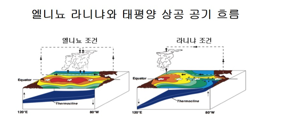 엘니뇨 때에는 태평양 중앙에서 더운 공기가 상승해 서쪽와 동쪽 태평양에서 하강한다. 라니냐 때에는 서쪽 태평양에서 기류가 상승해 동쪽 태평양에서 하강한다.