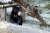 2010년 서울대공원을 탈출했던 말레이곰 `꼬마`. 중앙포토