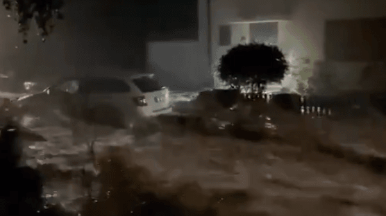 "미친 급류가 다 쓸어갔다" 서유럽 홍수 대참사 충격 영상