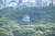‘꿈이 현실에서 이루어진다’는 의미의 공공미술 열기구 ‘마사유메’(正夢)가 16일 일본 도쿄 요요기공원 나무숲 사이로 떠오르고 있다. AFP=연합뉴스