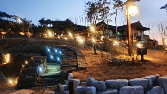 영천한의마을, 여름맞이 한방테마거리 야간 개장 실시