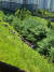  원주 건보공단 본부로 진입하기 위해 공원 언덕을 올라가는 민주노총 집회 참여자들 [독자 제공]