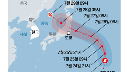 제8호 태풍 네파탁 27일 일본 상륙…도쿄 올림픽 엎친 데 덮친 격