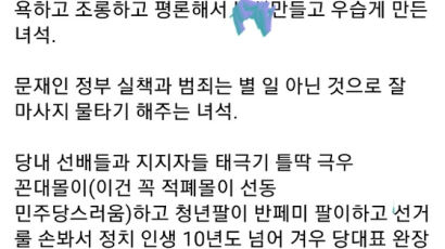'달님은 영창으로' 김소연, 이번엔 이준석에 "관종짓하는 X신"