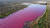 분홍색으로 변한 아르헨티나 코르포 호수. AFP=연합뉴스