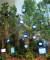 오는 12월 개관하는 울산시립미술관에서 선보일 백남준 작가의 작품 '케이지의 숲, 숲의 계시'. [사진 울산시]