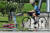 지난 25일 서울 여의도공원에서 폭염으로 아지랑이가 이글거리고 있다. 기상청은 올해 폭염일수가 평년보다 많을 것으로 전망했다. [연합뉴스]