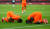 코트디부아르 선수들이 독일과 조별리그 최종전에서 상대 자책골로 앞서가자 기뻐하는 모습. [로이터=연합뉴스]