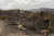 이탈리아 사르데냐 섬 쿠글리에리 마을이 산불피해를 입어 가축이 마을 도로 변에 죽은 채 쓰러져 있다. AFP=연합뉴스