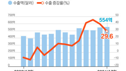 65년 만 무역史 다시 쓴 수출…하반기 전망은 엇갈려